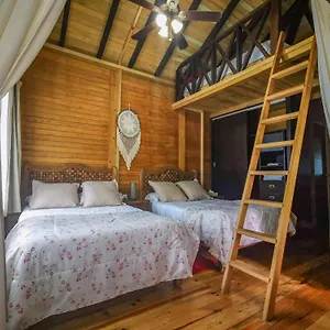 Villa Alicat Tulum